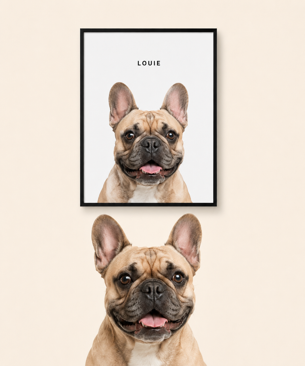 Modern Pet Portrait